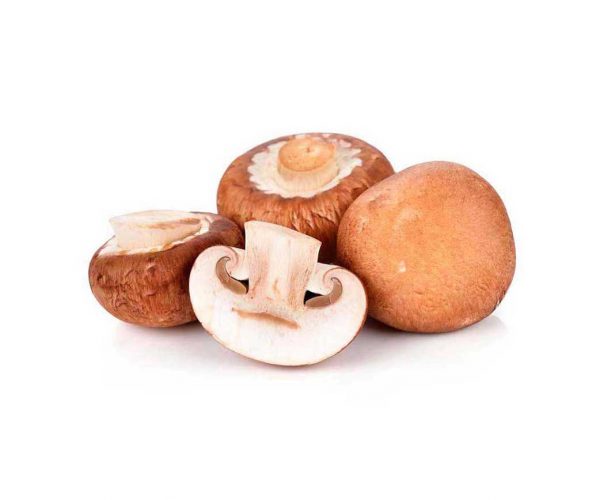 Champinon_Portobello Champinon_Portobello