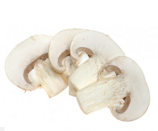 champinon-laminado