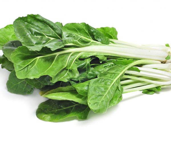 13272581 - chard leaves on a white background 13272581 - chard leaves on a white background