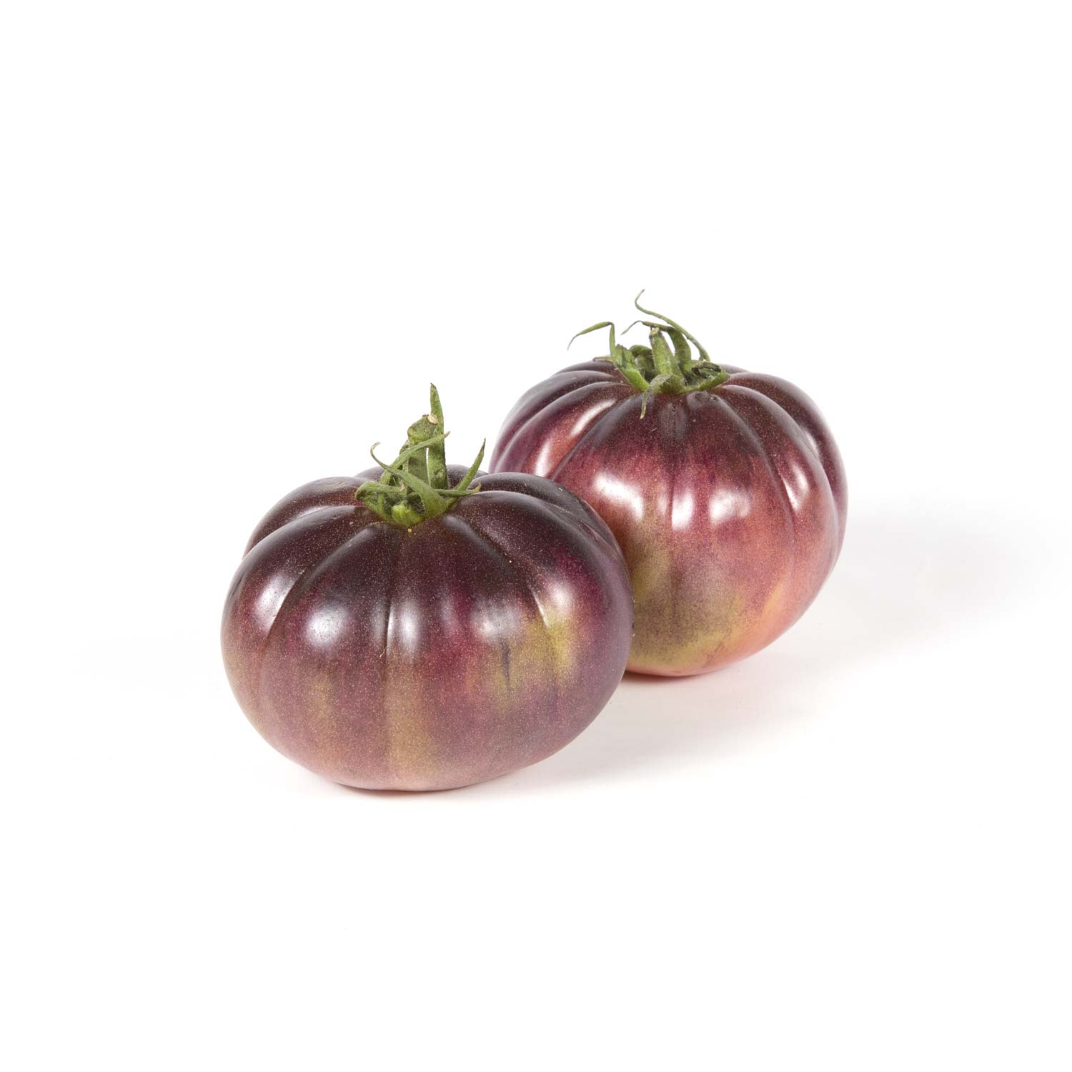 TOMATE_txapeldun
